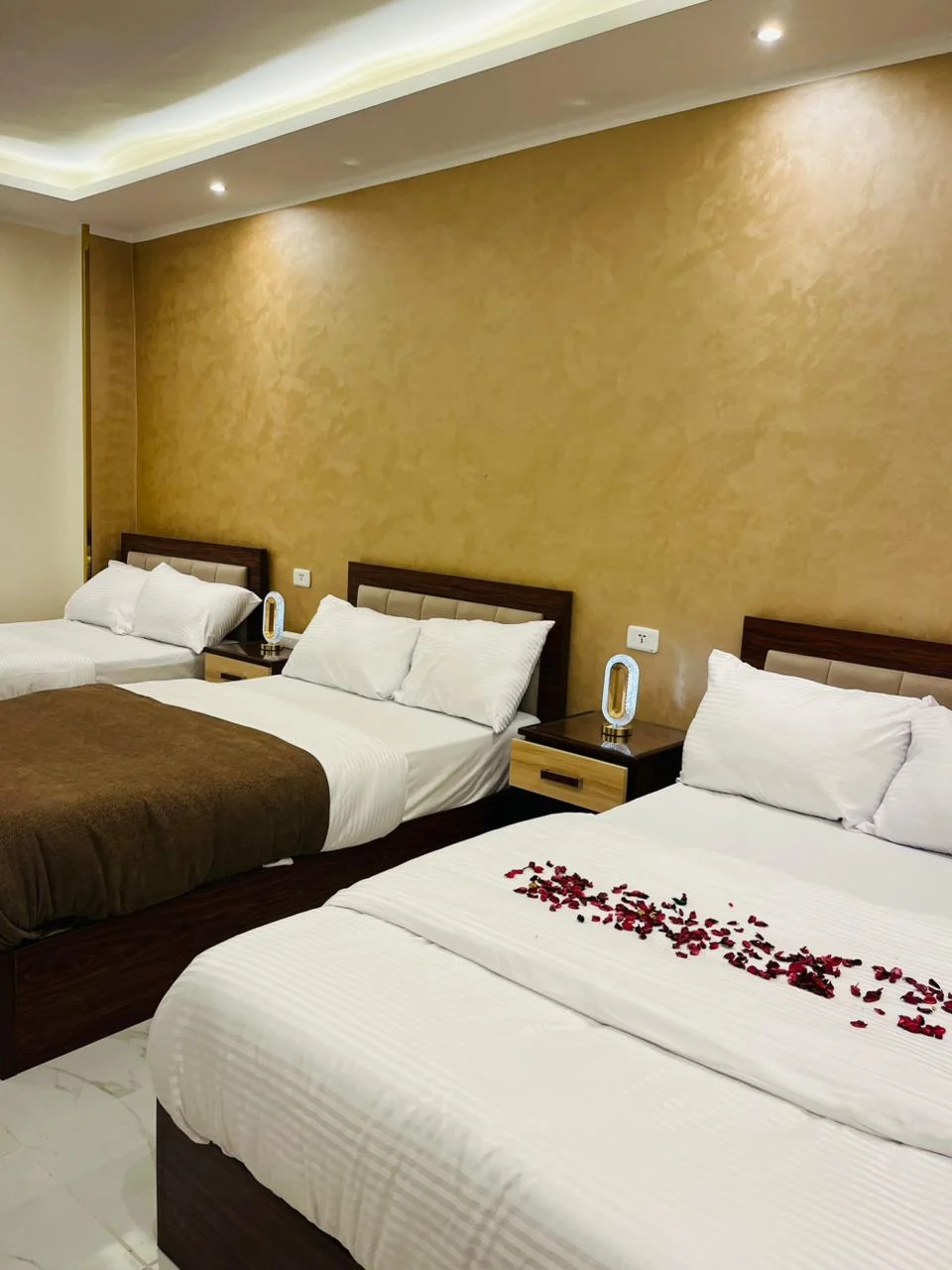 Triple room for three guests with private bathroom